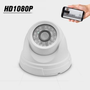 1080P HD IP Camera 2.0MP Network P2P RTSP H.264 24 IR Leds IR-CUT Night Vision