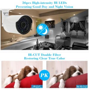 COTIER 1080P HD POE IP Camera 2.0MP 3.6mm 1/2.8