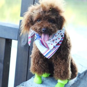 Dog Candy Colors Boots Waterproof Rubber Pet Rain Non-slip Shoes