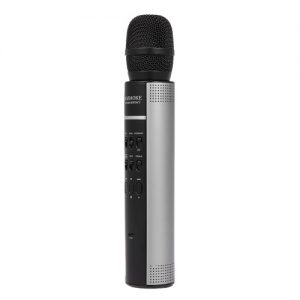 Karaoke Player Wireless BT Speaker Stereo Music Player Microphone Music Playing Songs Singing Home KTV AUX Support