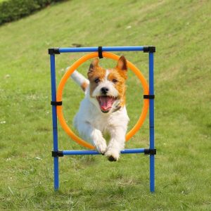 Outdoor Pet Dog Agility Exercise Sports Obedience Show Training Equipment Dogs Activity Hoop Jump Game Agility Exercise Pole Set with Carrying Case