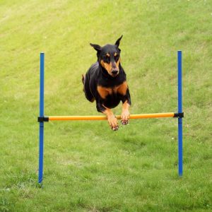 Outdoor Pet Dog Agility Sports Games Training Equipment Dogs Jump Hurdle Bar Obedience Show Activity Agility Exercise Pole Set with Carrying Case