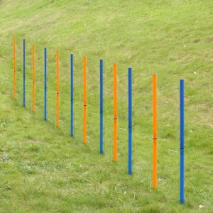 Pet Outdoor Dog Agility Sports Training Poles Equipment Dogs Activity Agility Weave Slalom 12 Pole Set with Carrying Case