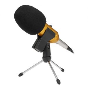 Professional Condenser Microphone Studio Sound Recording Broadcasting with Reverberation Echo Function with Anti-wind Sponge Cover Clip Stand