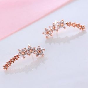 925 Sterling Silver Needle Star Inlay Zircon Stud Earrings