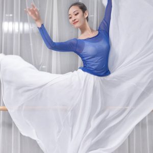 Ballroom Dance Costumes Chiffon Pleated Ballet Peformance Dress Halloween