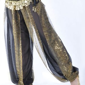 Belly Dance Costume Pants Wide Leg Rayon Chic Bollywood Dance Pants