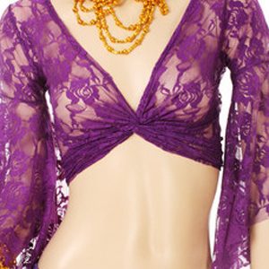 Belly Dance Costume Purple Lace Beads Bollywood Dance Top