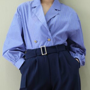 Blue Casual Lapel Buttoned Stripe Cotton Blouse