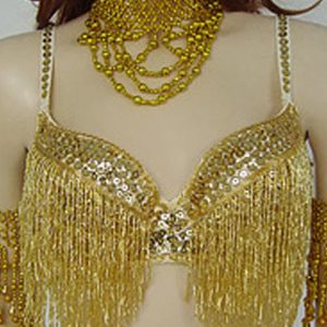 Bra Belly Dance Costume Gold Fringe Microfiber Women's Bollywood Dance Top