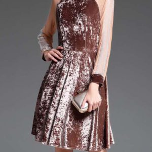 Brown Casual Crew Neck A-line Paneled Mini Dress