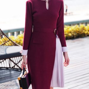 Burgundy Casual Pleated A-line Midi Dress