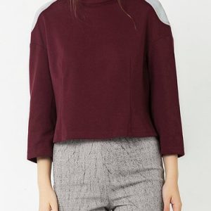 Burgundy Casual Stand Collar H-line Cotton-blend Cropped Top