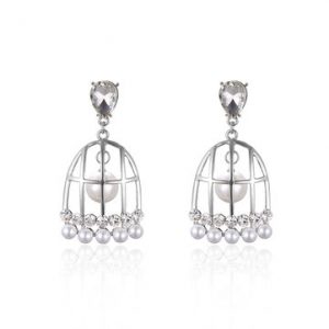 Cute Birdcage Earrings Pearl Crystal Tassel Earrings