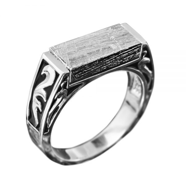 Daniel Steiger Men's Meteorite Ring