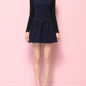 Dark Blue A-line Long Sleeve Embroidery Mini Dress