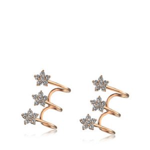 Flower Rose Gold Plated Zircon Earrings