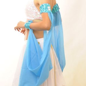 Halloween Belly Dance Costume 1 Piece Arm Cover