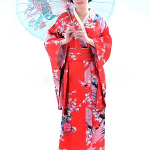 Halloween Traditional Japanese Kimono Costume