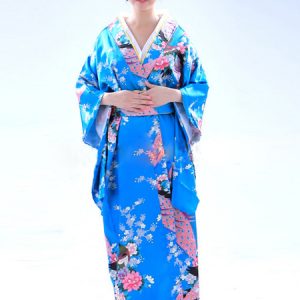 Halloween Traditional Japanese Kimono Costume