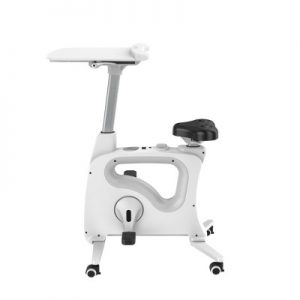 Loctek V9 Deskcise Pro V9 - All-In-One Desk Bike