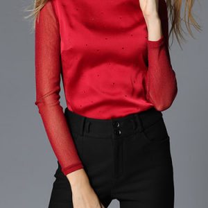 Long Sleeve Turtleneck Mesh Paneled Plain Simple Blouse