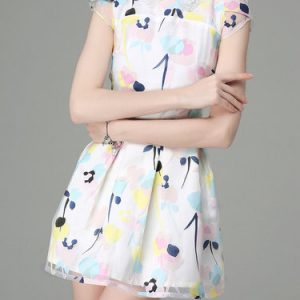 Multicolor Organza Short Sleeve Abstract Peter Pan Collar Mini Dress