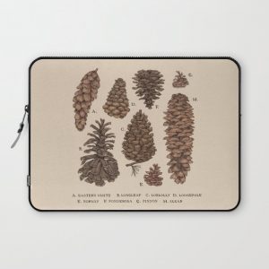 Pinecones Computer Cover by Jessica Roux - Laptop Sleeve - 13"