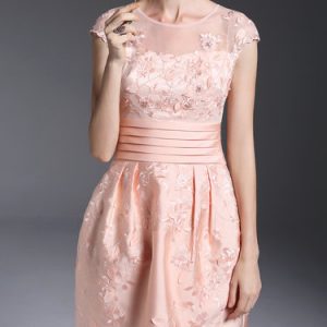 Pink Lace A-line Girly Embroidered Mini Dress