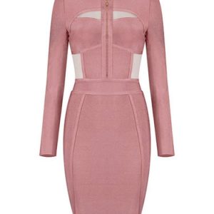 Pink Mesh Paneled Sexy Crew Neck Mini Dress