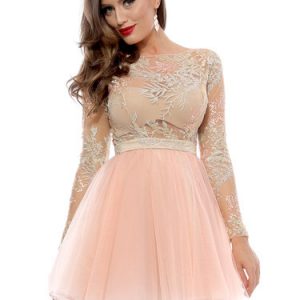 Pink Paneled Skater Long Sleeve Lace Tulle Mini Dress