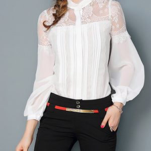 Pleated Balloon Sleeve H-line Embroidered Blouse