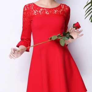 Red Frill Sleeve Guipure Lace A-line Solid Mini Dress