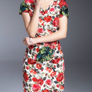 Red Printed Sheath V Neck Short Sleeve Silk Mini Dress