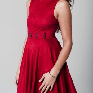 Red Velvet Sleeveless Skater Mini Dress