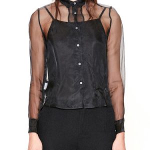 See-through Look Shirt Collar Silk Long Sleeved Top