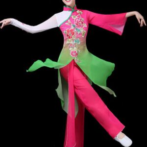 Traditional Chinese Dance Costumes Asian Carnival Costumes 2 Piece Outfit