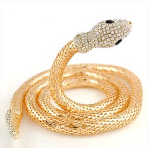 Trendy Gold Silver Snake Necklace