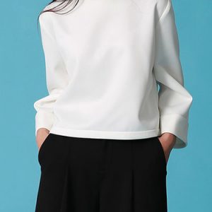 White Crew Neck Casual Polyester Shift Long Sleeved Top