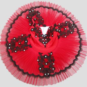 Ballerina Dress Gilrs Latin Dance Costume Kids Lace Pleated Training Tutu Dancing Dresses