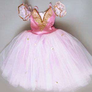 Ballet Dress Tutu Girls Embroidered Ballerina Dresses Pink Ballet Dance Costume