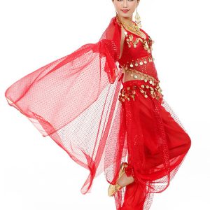 Belly Dance Costume Chiffon Women's Red Bollywood Dance Dress With Scarf