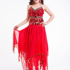 Belly Dance Costume Outfit Women Chiffon Skirt Top And Veil Bollywood Dancing Wear