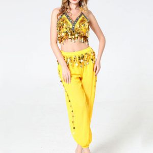 Belly Dance Costumes Belly Dancer Sequins Fringe Bra Pant Belly Dancing Wear For Women