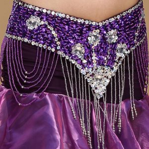 Belly Dance Hip Scarf Costume Red Chain Fringe Bollywood Dance Jeweled Sash