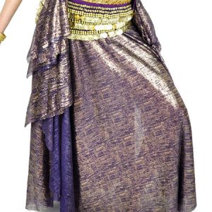 Belly Dance Skirt Ruffle Gliterring Women Performance Costume