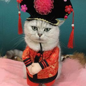 Cat Halloween Costume Satin Chinese Princess Theme Tassel Red Stand On Prank Costume In 2 Pieces Halloween