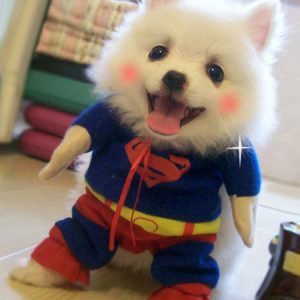 Dog Halloween Costume Superman Blue Pet Costumes Halloween