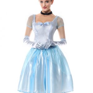 Halloween Costume Cinderella Princess Women Light Sky Blue Dresses Outfit