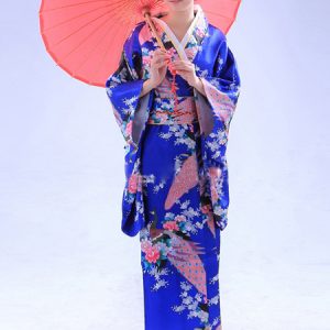 Halloween Traditional Japanese Kimono Costume